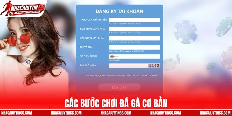 Các bước chơi đá gà cơ bản
