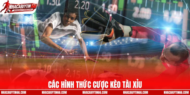 Các hình thức cược tài xỉu hay gặp