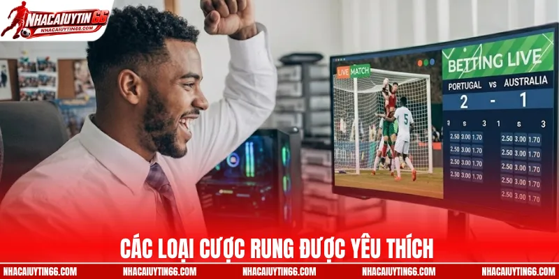 Các loại cược rung được yêu thích 