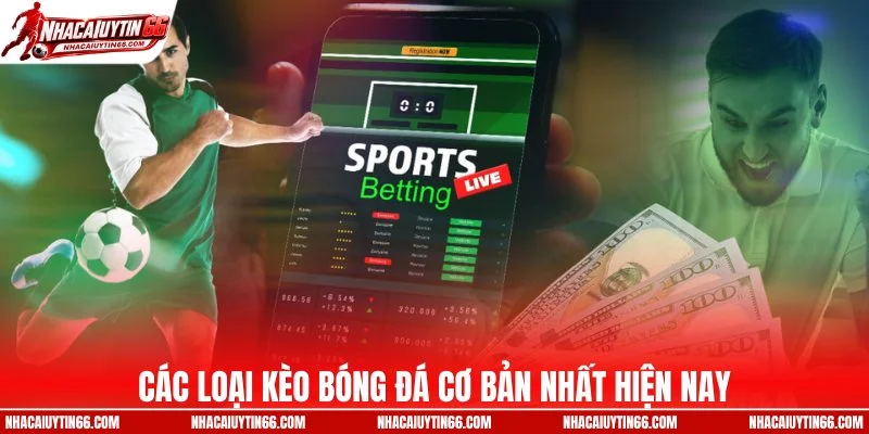 Các loại kèo bóng đá cơ bản nhất hiện nay