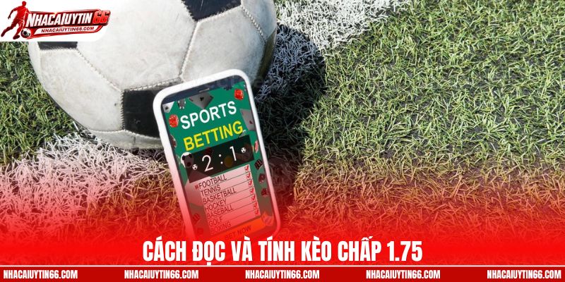 Cách đọc và tính kèo 1.75 chuẩn nhất