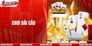 Chơi Bài Cào - Loạt Chiến Thuật Được Dân Chuyên Áp Dụng