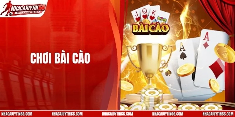 Chơi Bài Cào - Loạt Chiến Thuật Được Dân Chuyên Áp Dụng