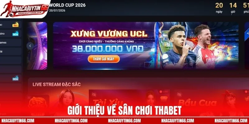 Giới thiệu về sân chơi trực tuyến THABET