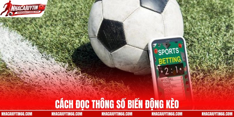 Hướng dẫn cách đọc thông số biến động kèo