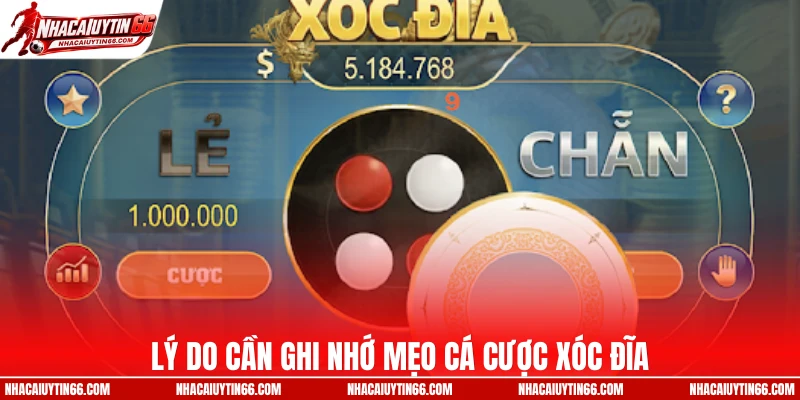 Lý do cần ghi nhớ mẹo cá cược xóc đĩa