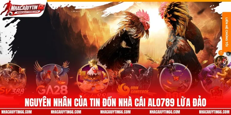 Nguyên nhân của tin đồn nhà cái ALO789 lừa đảo