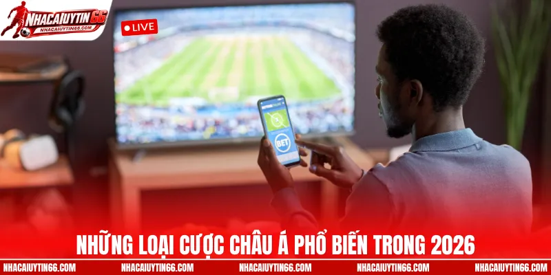 Những loại cược châu Á phổ biến trong 2026
