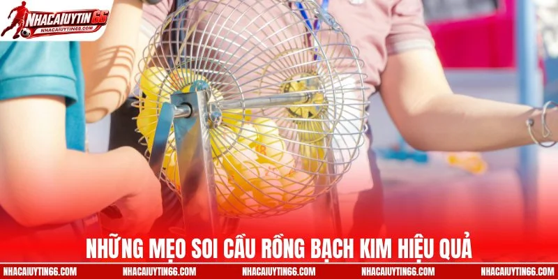 Những mẹo soi cầu rồng bạch kim hiệu quả