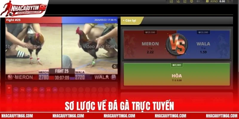Sơ lược về đá gà trực tuyến