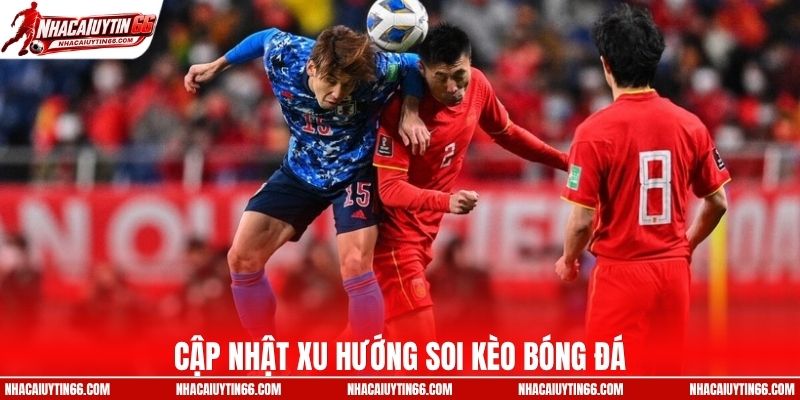 Theo dõi xu hướng soi kèo bóng đá hôm nay
