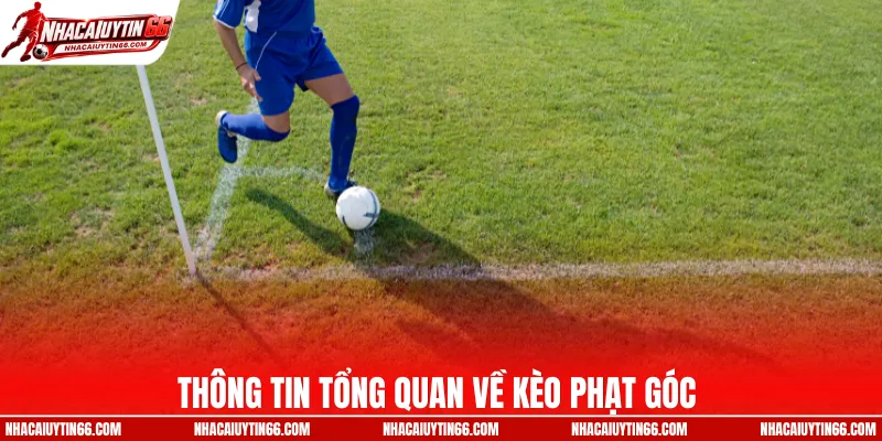 Thông tin tổng quan về kèo phạt góc 