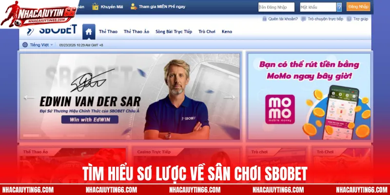 Tìm hiểu sơ lược về sân chơi SBOBET