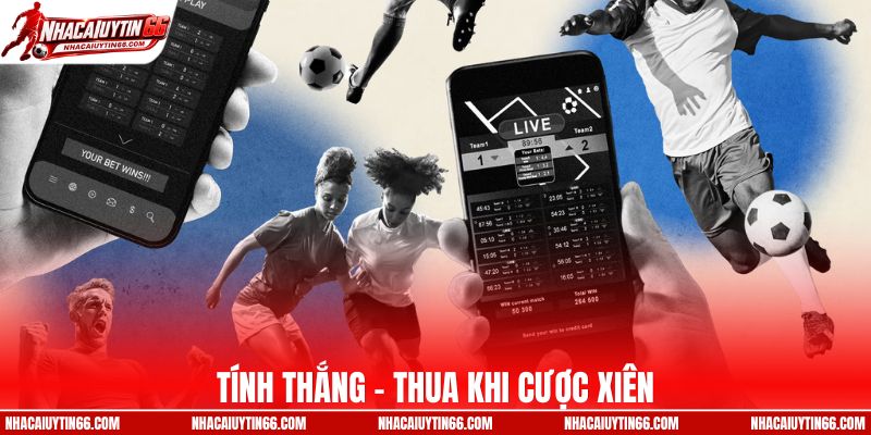 Tính tiền thắng - thua khi tham gia cược xiên